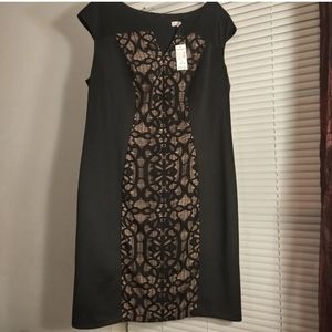 Dressbarn black cocktail dress with lace design